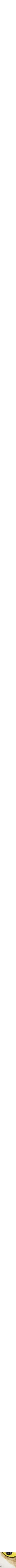 Assorti