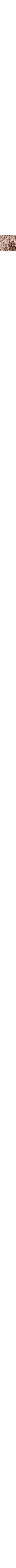 Écru à motifs