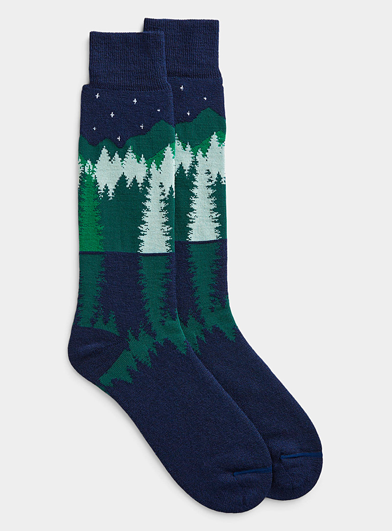 Le 31 Assorted blue Nordic forest thermal socks for men