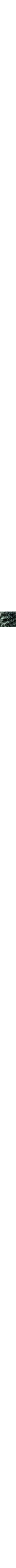 Vert à motifs