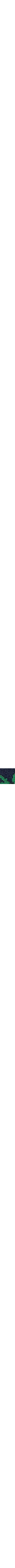 Patterned Blue