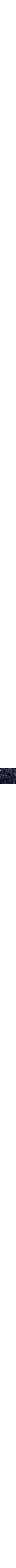 Patterned Blue