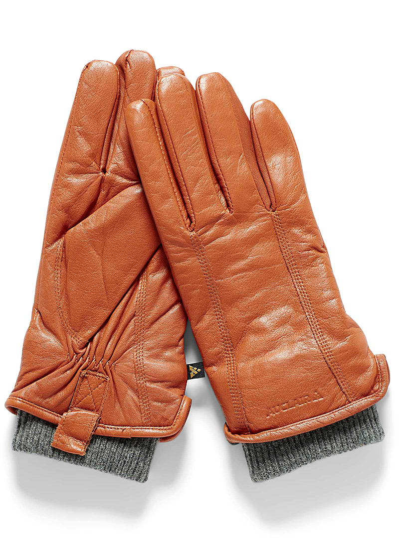 Auclair Honey Aya knit cuff insulated leather gloves for women