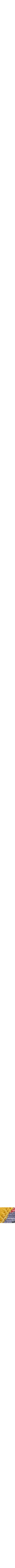 Assorti