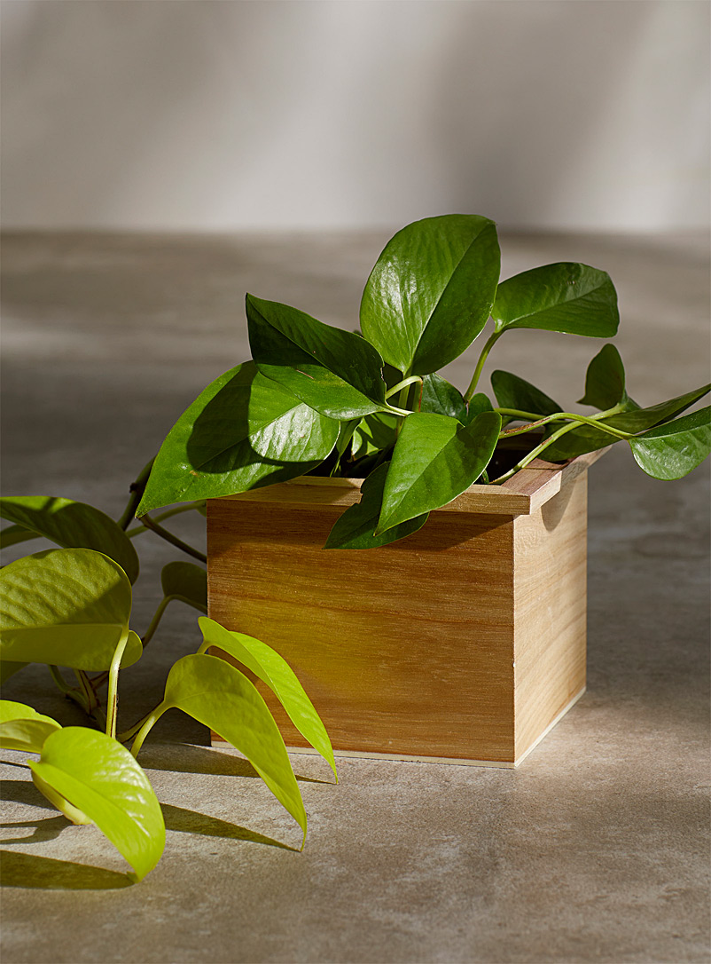 Simons Maison Assorted Natural wood planter 4''
