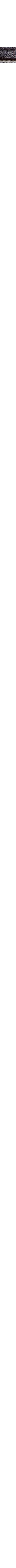 Charbon