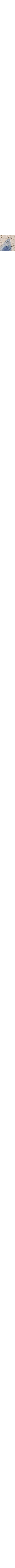 Patterned Ecru