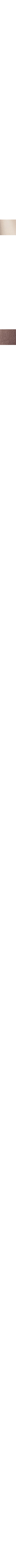 Ecru/Linen