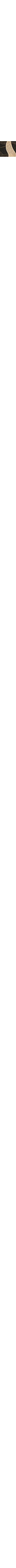 Noir à motifs