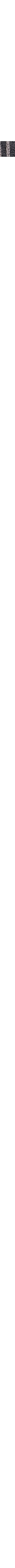 Noir à motifs