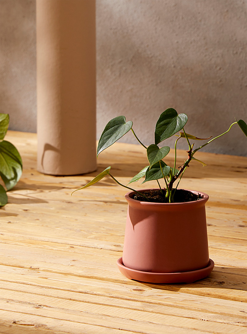 Danica Fawn Minimalist terracotta planter 4.25 in