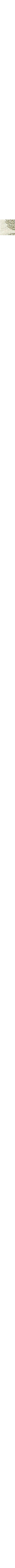 Ecru/Linen