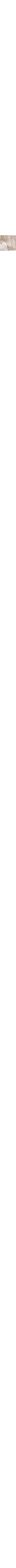Écru à motifs