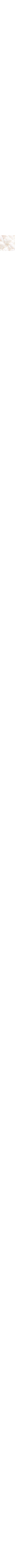 Écru à motifs