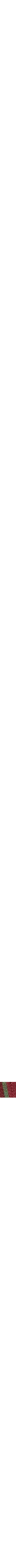 Rouge à motifs