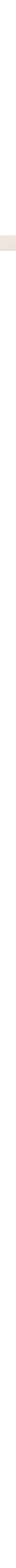 Patterned Ecru