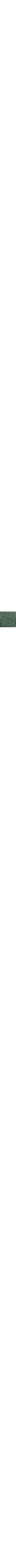 Vert à motifs
