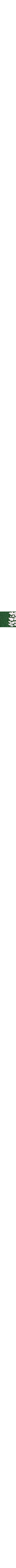 Vert à motifs