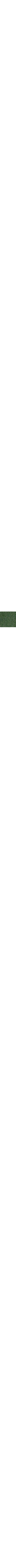 Vert à motifs