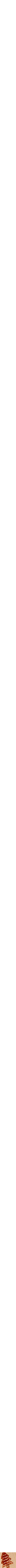 Assorti