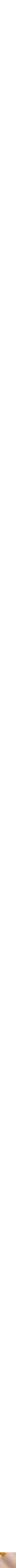 Assorti