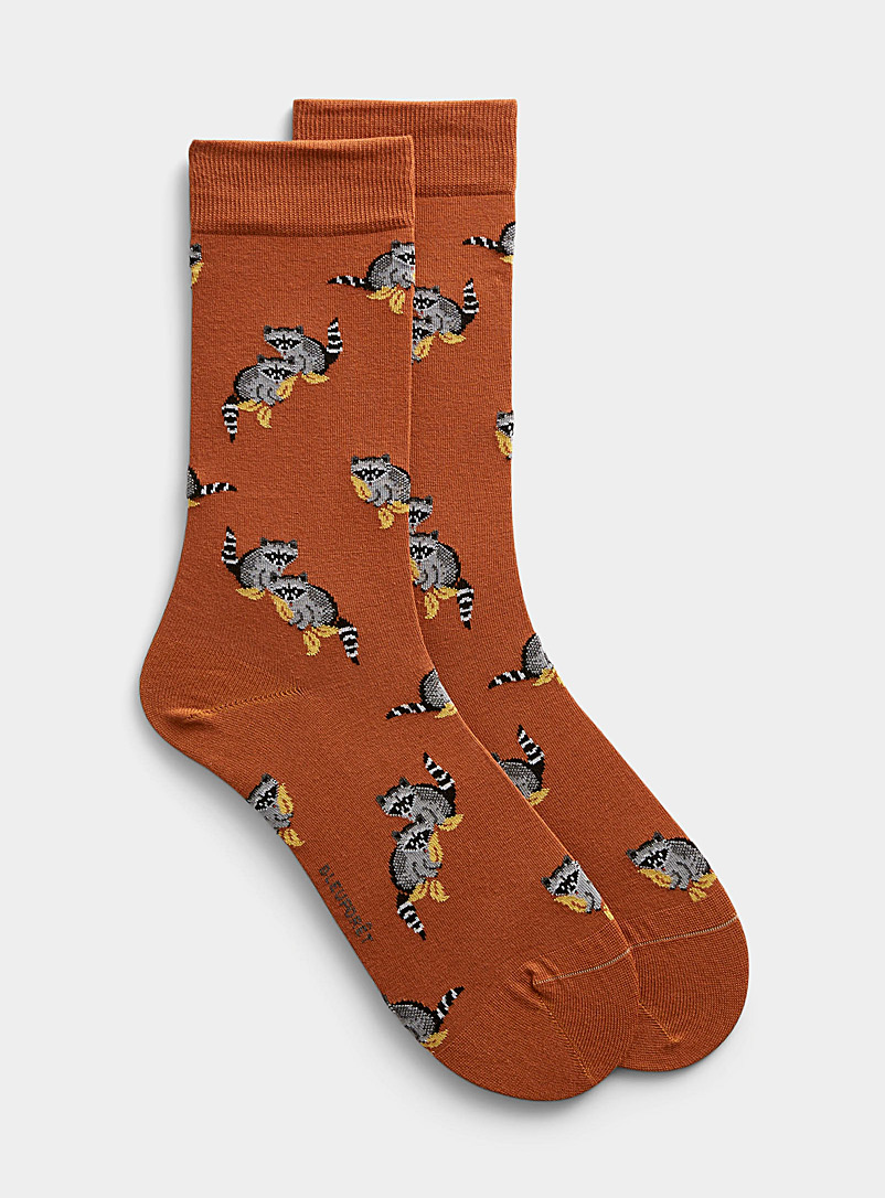 Bleuforêt Assorted brown  Raccoon sock for men