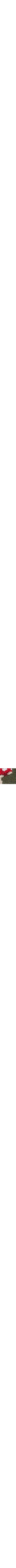 Bleu à motifs