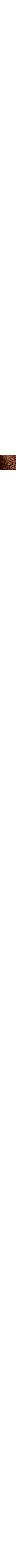 Brun à motifs