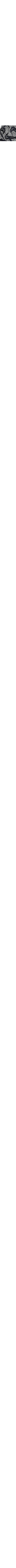 Noir à motifs