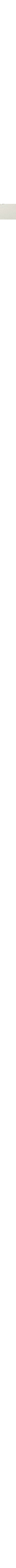 Beige - Grège