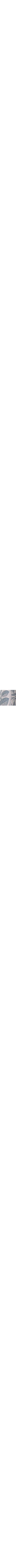 Bleu à motif