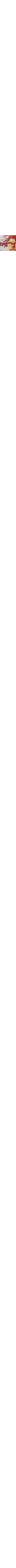 Patterned Ecru