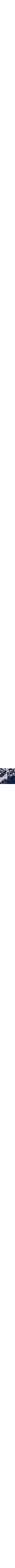 Patterned Blue