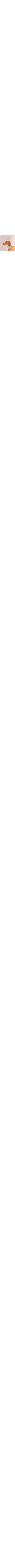 Patterned Ecru