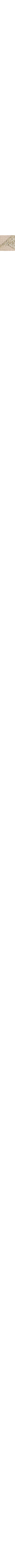 Écru à motifs