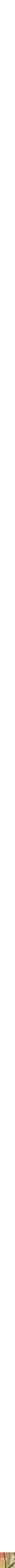 Assorti