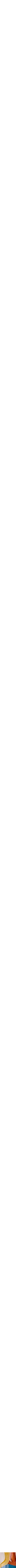 Assorti