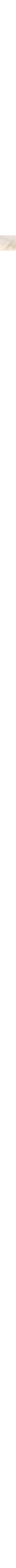 Patterned Ecru