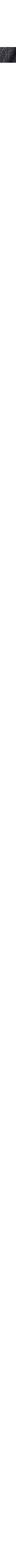 Charbon