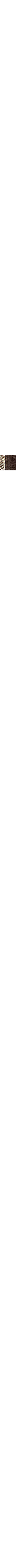 Brun à motifs