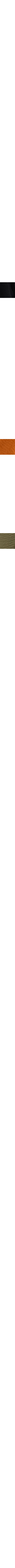 Blanc et noir
