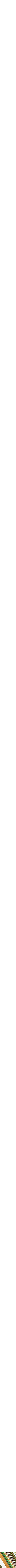 Assorti
