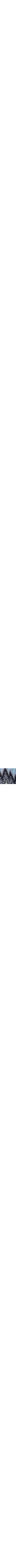 Bleu à motifs