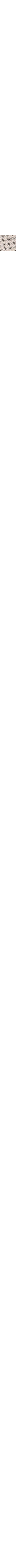 Patterned Ecru