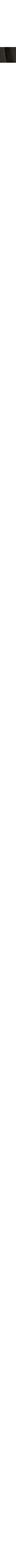 Charbon
