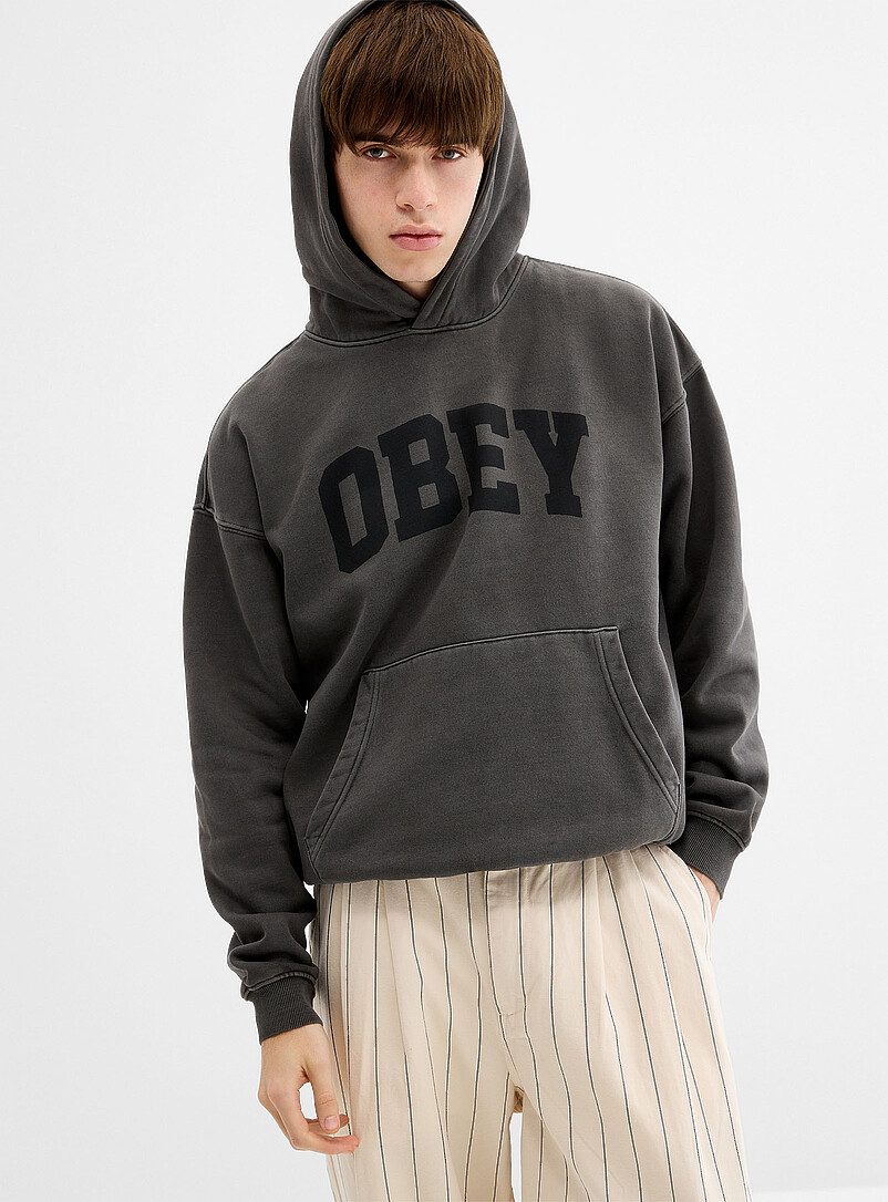 Collegiate pigment hoodie product image 2