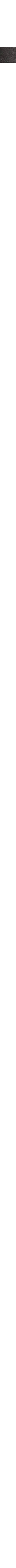 Charbon