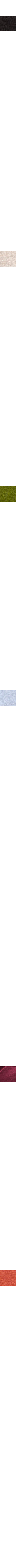 Prune