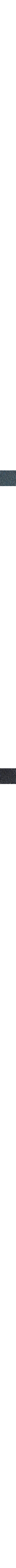 Patterned Navy