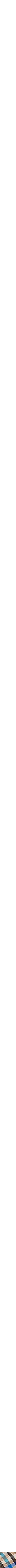 Assorti